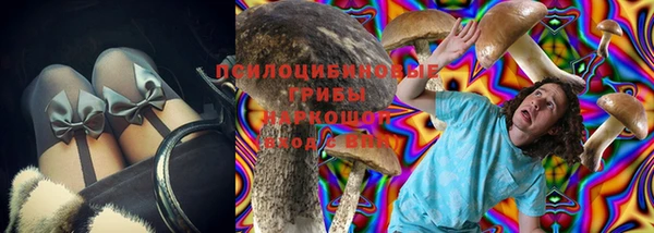 индика Лиски