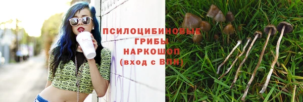 индика Лиски