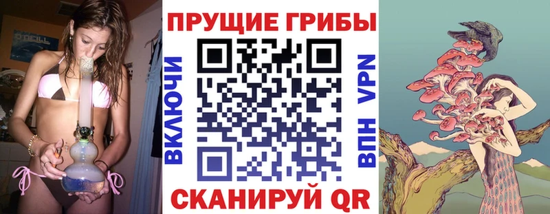 Галлюциногенные грибы Cubensis Называевск