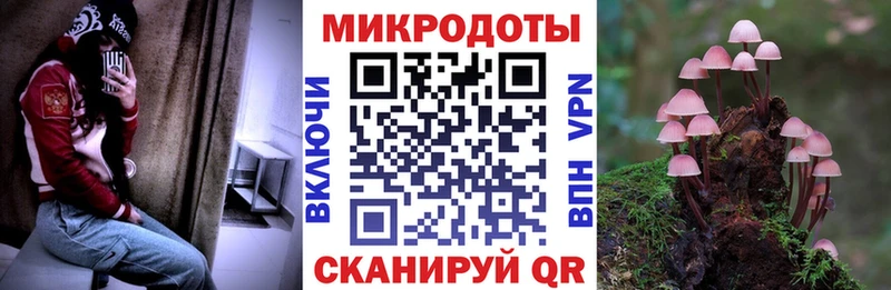 как найти закладки  Называевск  ОМГ ОМГ   Псилоцибиновые грибы прущие грибы 